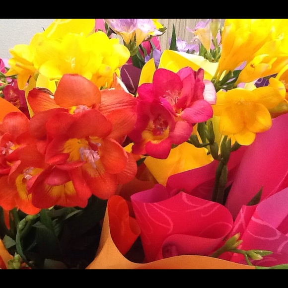 Meet your Posher, Ana - Picture 1 of 1