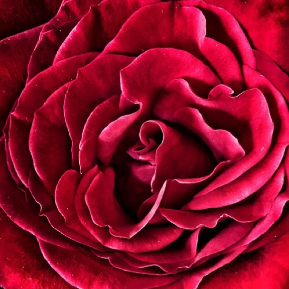 💋👠🌹💋👠🌹