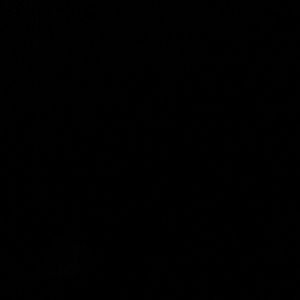 Meet your Posher, Shamar