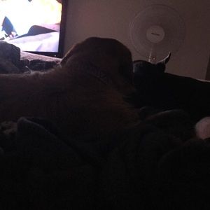 Meet your Posher, Brandon