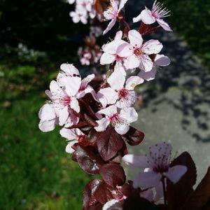 Meet your Posher, Billie