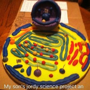 Meet your Posher, Alba