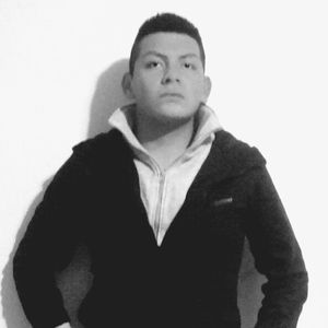 Meet your Posher, Wilmer