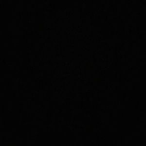 Meet your Posher, Bella