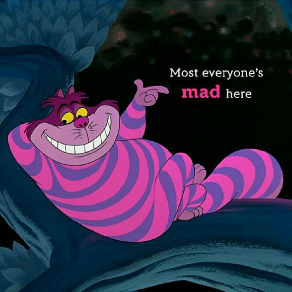 Meet your Posher, Cheshire - Picture 4 of 4