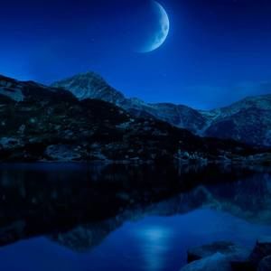 Meet your Posher, Brett