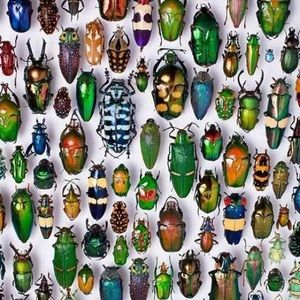 Meet your Posher, Adrienne