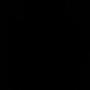 Meet your Posher, Wess