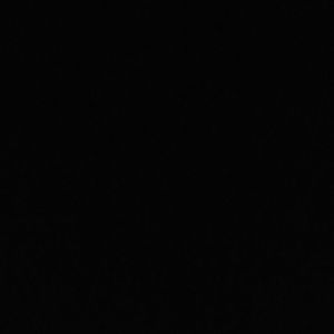 Meet your Posher, Summer