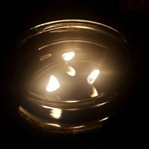 Meet your Posher, Missy