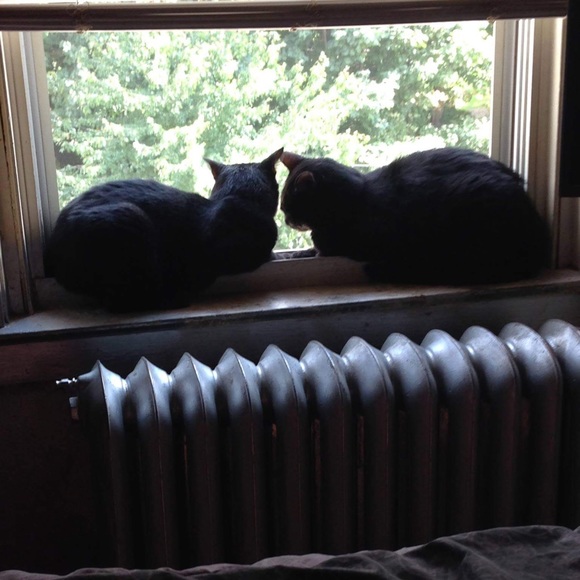 Meet your posher Victoria - Picture 3 of 5