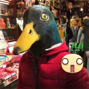 Meet your Posher, Elli