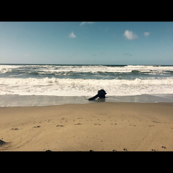 Meet your Posher, Jill - Picture 1 of 1