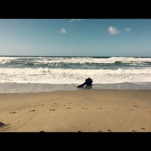 Meet your Posher, Jill