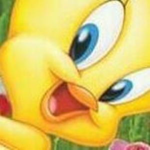 Meet your Posher, Yvette