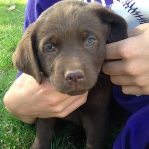 Meet your Posher, Wendy