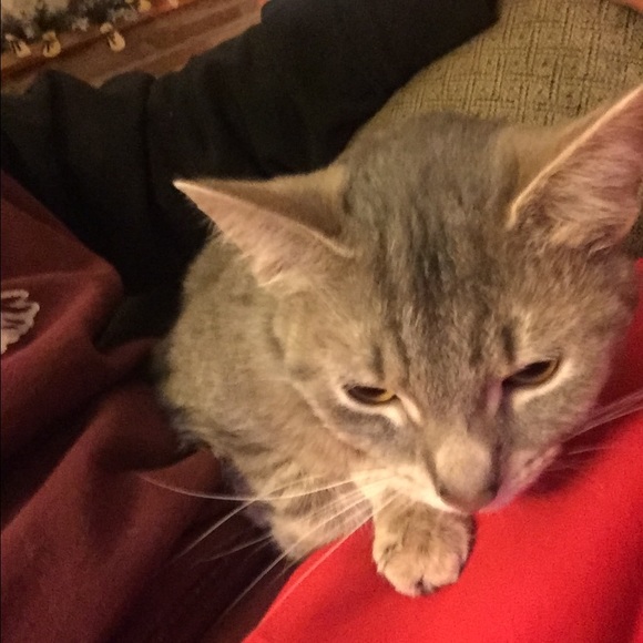 Meet your Posher, David - Picture 1 of 1