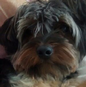 Meet your Posher, Janice