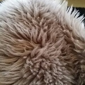 Meet your Posher, Alisha