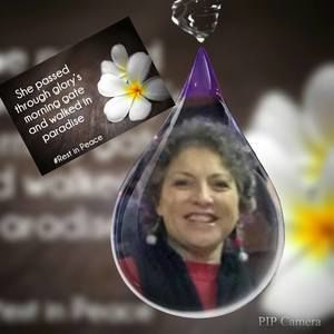 Meet your Posher, Laura