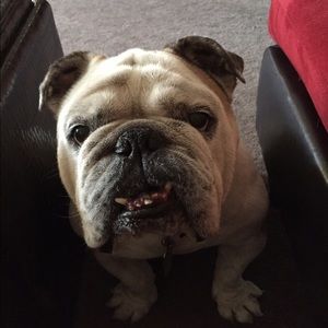 Meet your Posher, Vanessa