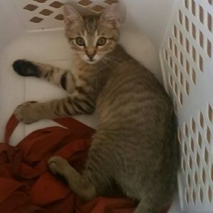 Meet your Posher, Alicia