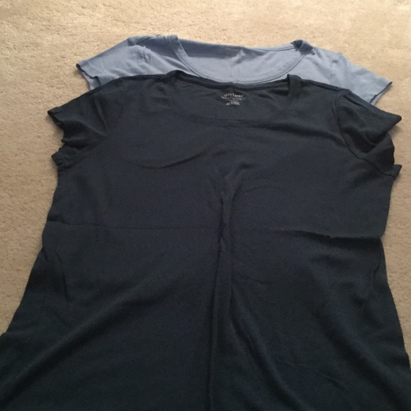 Daisy Fuentes tops set of 2 short sleeve