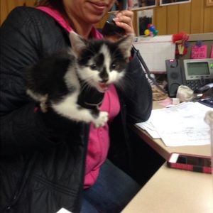 Meet your Posher, Chantel