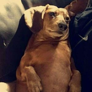 Meet your Posher, Mark