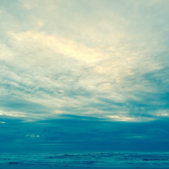 Meet your Posher, Juliette - Picture 7 of 11