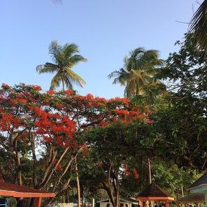 Meet your Posher, Lakelei