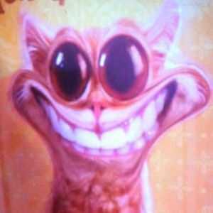 Meet your Posher, Sammy