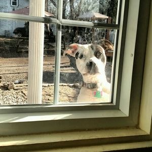 Meet your Posher, Janet