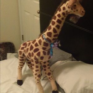 Meet your Posher, Cierra