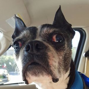 Meet your Posher, Terri