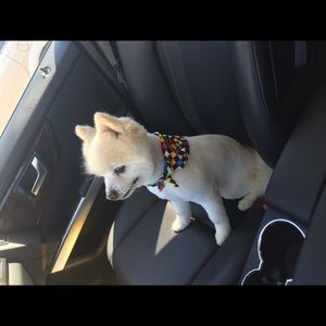 Meet your Posher, Martha