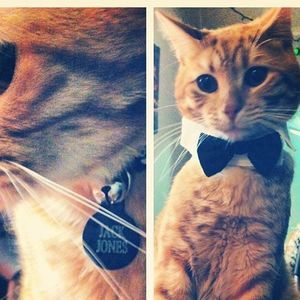 Meet your Posher, Felicia