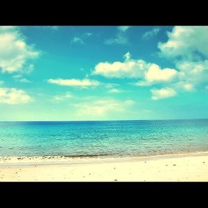 Meet your Posher, Goceline