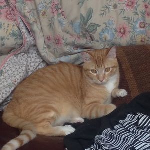 Meet your Posher, Janna