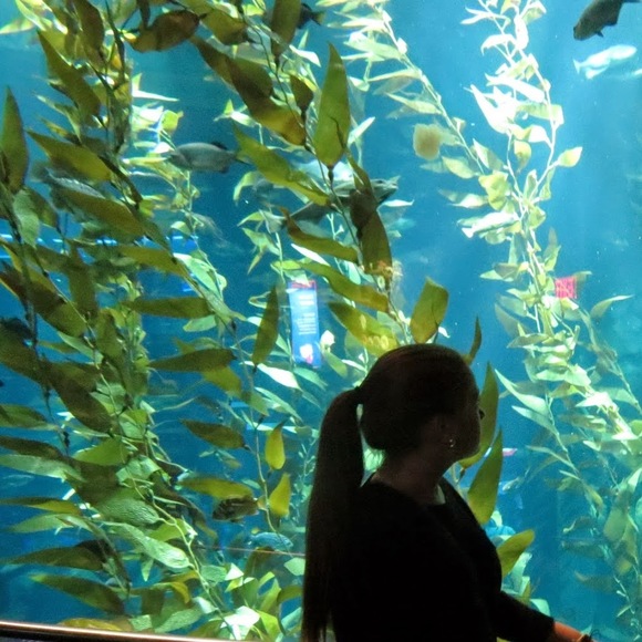 Meet your Posher, Katherine - Picture 3 of 8