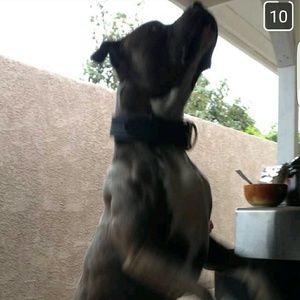 Meet your Posher, Diego