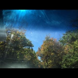 Meet your Posher, Susie