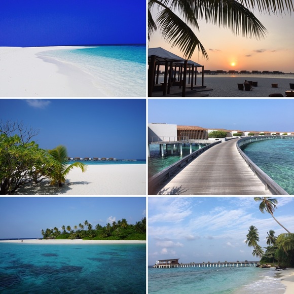 Meet your Posher, Lucy