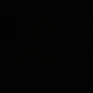 Meet your Posher, Bianca