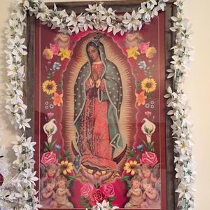 Meet your Posher, Joy