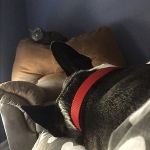 Meet your Posher, Christina