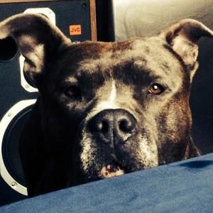 Meet your Posher, Paul