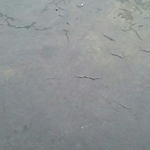 Meet your Posher, Mona