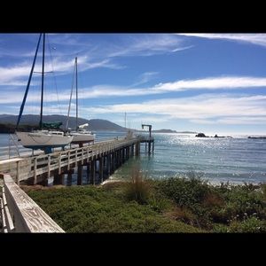 Meet your Posher, Maddee