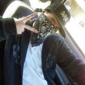 Meet your Posher, Sammy